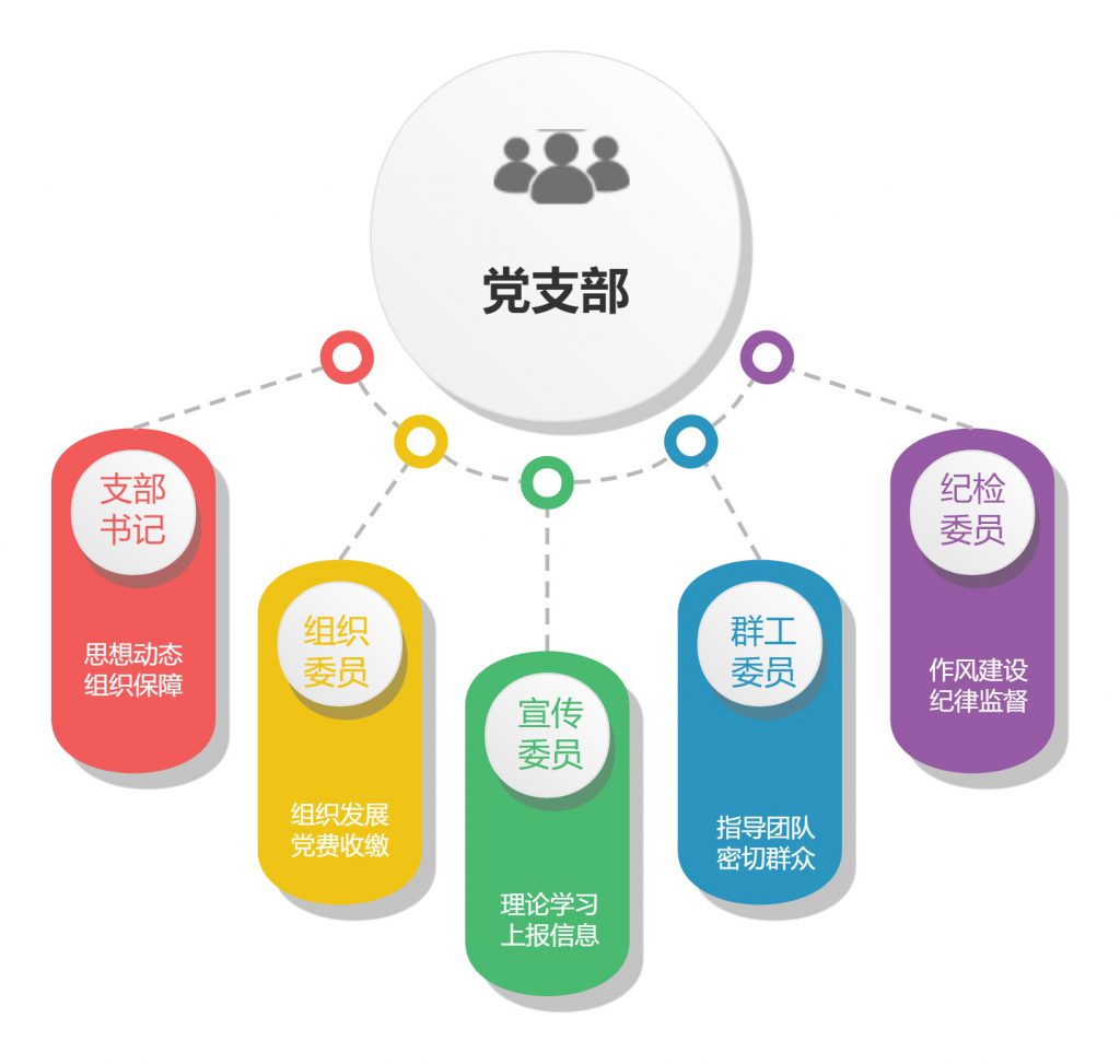 上海民办华二浦东学校党支部组织框架